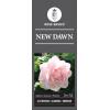 Klimroos (rosa "New Dawn")