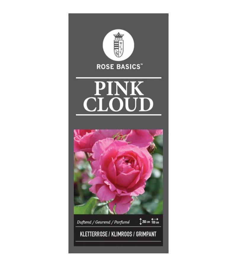 Klimroos (rosa "Pink Cloud")