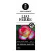 Grootbloemige roos (rosa "Leo Ferre"®) 