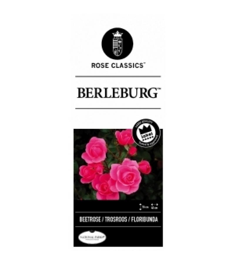 Trosroos (rosa "Berleburg"®)