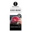 Heester klimroos (rosa "Eden Rose"®)