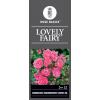Trosroos op stam (rosa "Lovely Fairy"®)