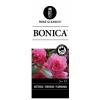 Trosroos op stam (rosa "Bonica"®)