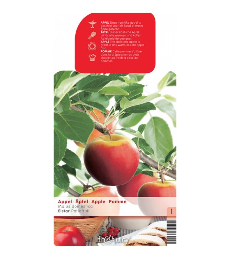 Appelboom Elstar (Malus Domestica "Elstar") fruitbomen