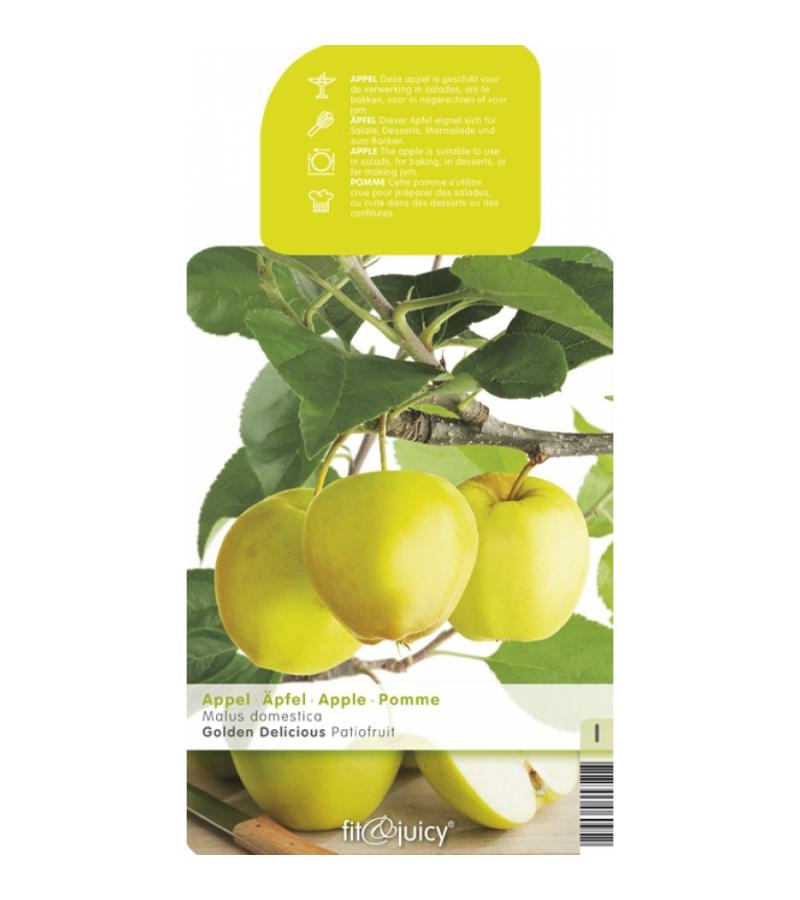 Appelboom Golden Delicious (malus domestica "Golden Delicious") fruitbomen