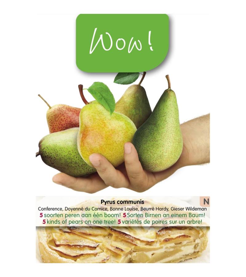 Perenboom mix – fruitbomen