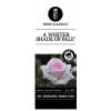 Grootbloemige roos op stam (rosa "A Whiter Shade of Pale"®)