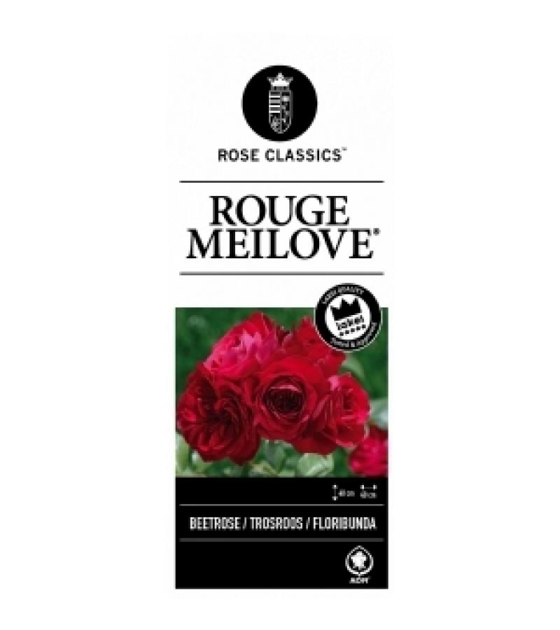 Trosroos op stam (rosa "Red Meilove"®)