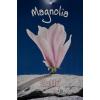 Magnolia struik Betty