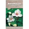 Magnolia struik Sieboldii