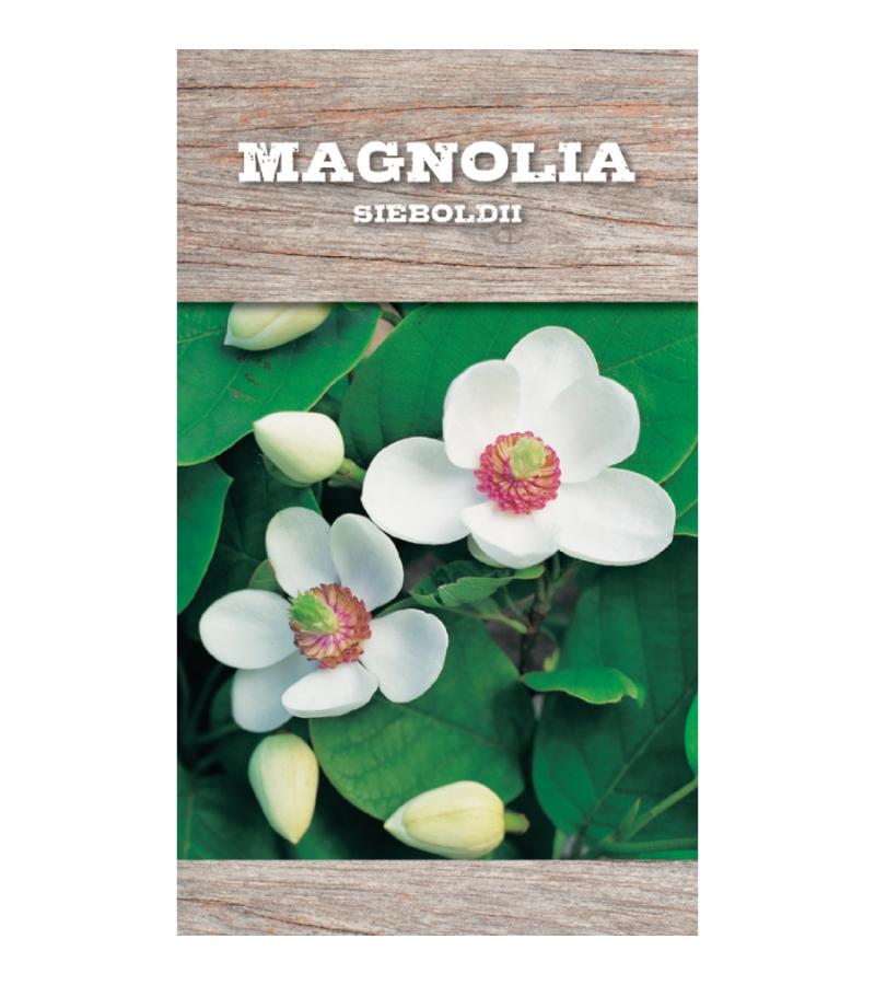 Magnolia struik Sieboldii