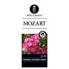 Trosroos (rosa "Mozart")