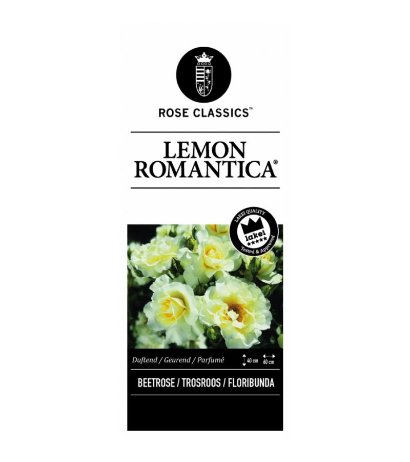 Trosroos op stam 90 cm (rosa "Lemon Romantica"®)