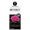 Grootbloemige roos (rosa "Beverly"®)