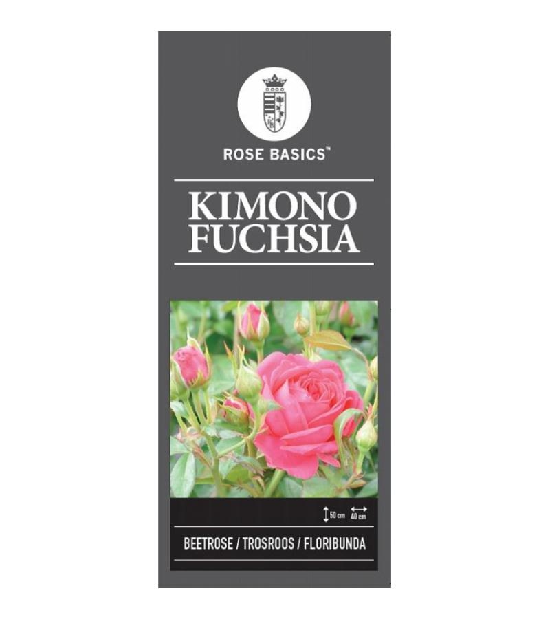 Trosroos op stam (rosa "Kimono Fuchsia")