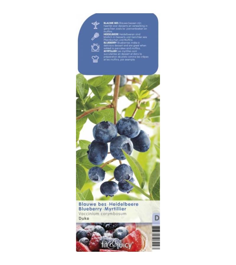 Bosbes (vaccinium corymbosum "Duke") fruitplanten