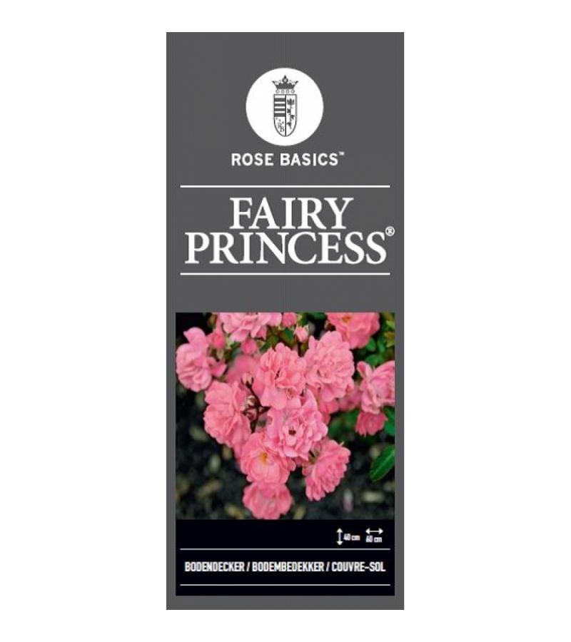 Bodembedekkende trosroos (rosa "Fairy Princess"®)