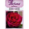 Grootbloemige roos (rosa “Gräfin Diana® Parfuma"®)