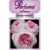 Trosroos (rosa "Herzogin Christiana® Parfuma"®)