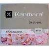 Hydrangea Macrophylla "Kanmara De Beauty Champagne"® boerenhortensia