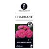 Miniatuurroos op stam (rosa "Charmant"®)