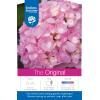 Hydrangea Macrophylla "Endless Summer Pink"® boerenhortensia