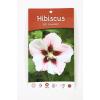 Hibiscus syriacus Hamabo