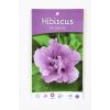 Hibiscus syriacus Ardens