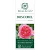 Engelse roos (rosa "Boscobel"®)