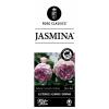 Treurroos op stam 110 cm (rosa "Jasmina"®) 