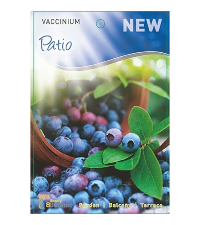 Bosbes (vaccinium corymbosum “Patio”) fruitplanten