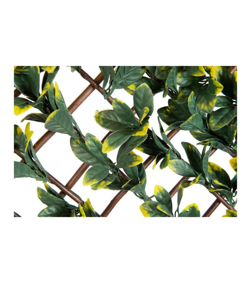 Wilgen tuinafscheiding klimrek met ligusterblad - 90 x 180 cm