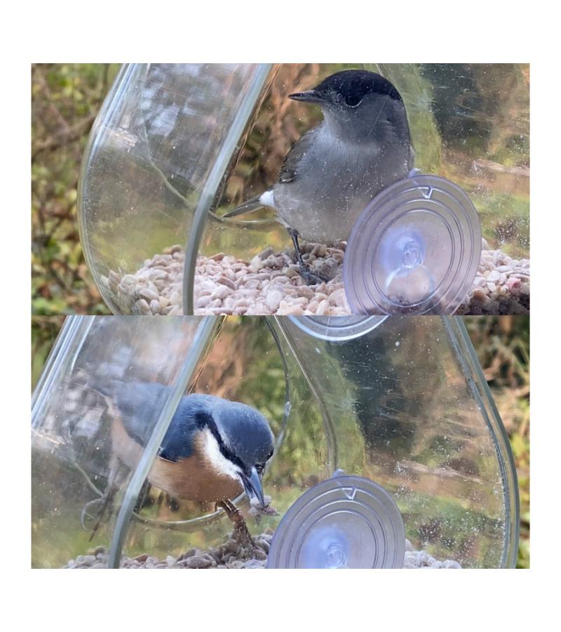 Vogelvoederhuis druppelvorm - perspex