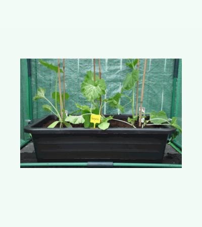 Olasfa 3 Stuks 24 Cellen Kweekschaal Kas Kas Kweekbak Kweekset Met Deksel En Ventilatiegaten Plantenetiketten Voor Huis Tuin Balkon Planten Kweken