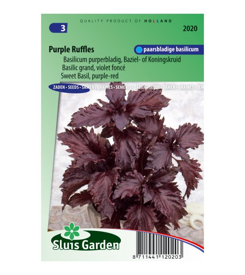 Basilicum zaden - Purple Ruffles