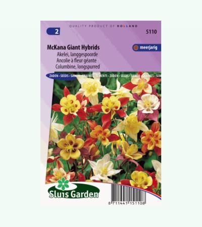 Akelei langgespoorde bloemzaden - McKana Giant Hybrids