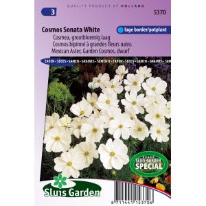 Cosmea grootbloemig laag bloemzaden - Cosmos Sonata White