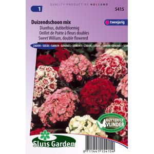 Afbeelding Dianthus dubbelbloemig bloemzaden - Duizendschoon Mix door Tuinexpress.nl