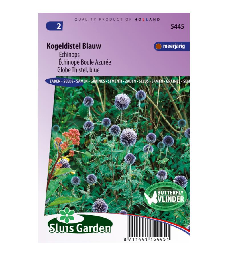 Echinops bloemzaden - Kogeldistel blauw