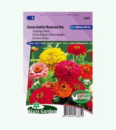 Eenjarige Zinnia bloemzaden – Zinnia Dahlia flowered mix
