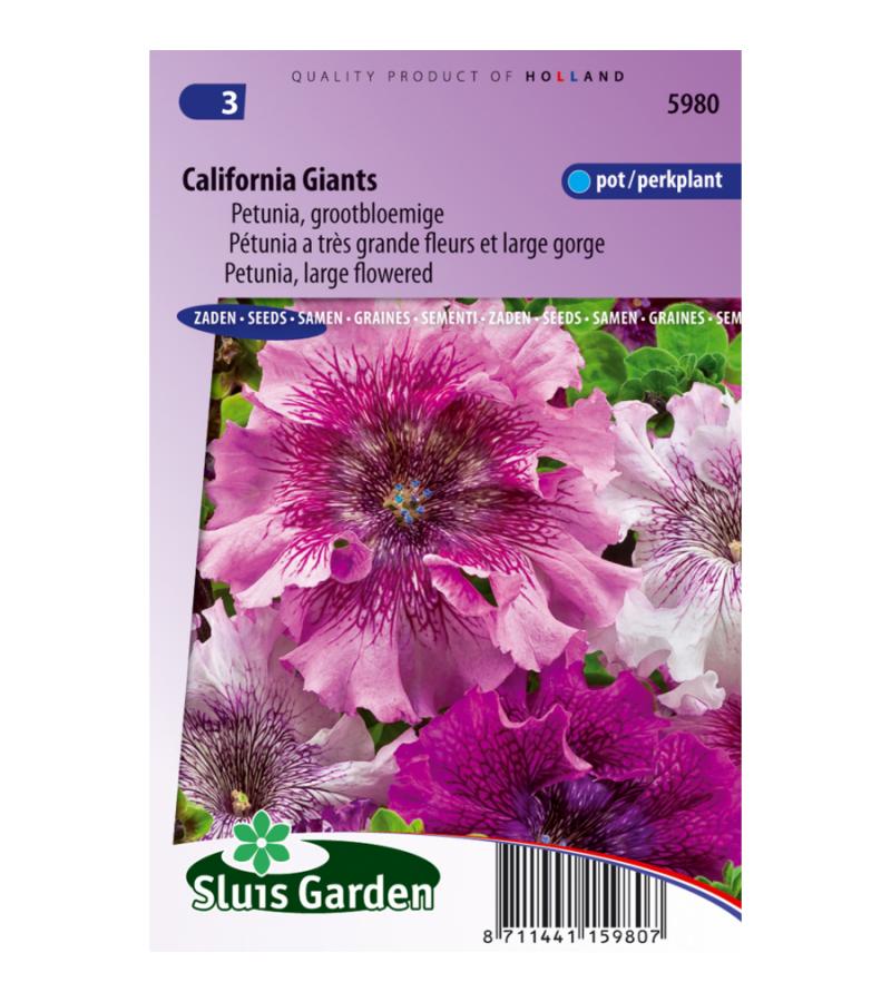 Grootbloemige petunia bloemzaden – California Giants