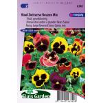 Grootbloemige viool bloemzaden – Viool Zwitserse reuzen mix