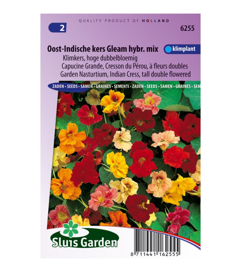 Hoge dubbelbloemige klimkers bloemzaden – Oost-Indische kers Gleam hybride mix