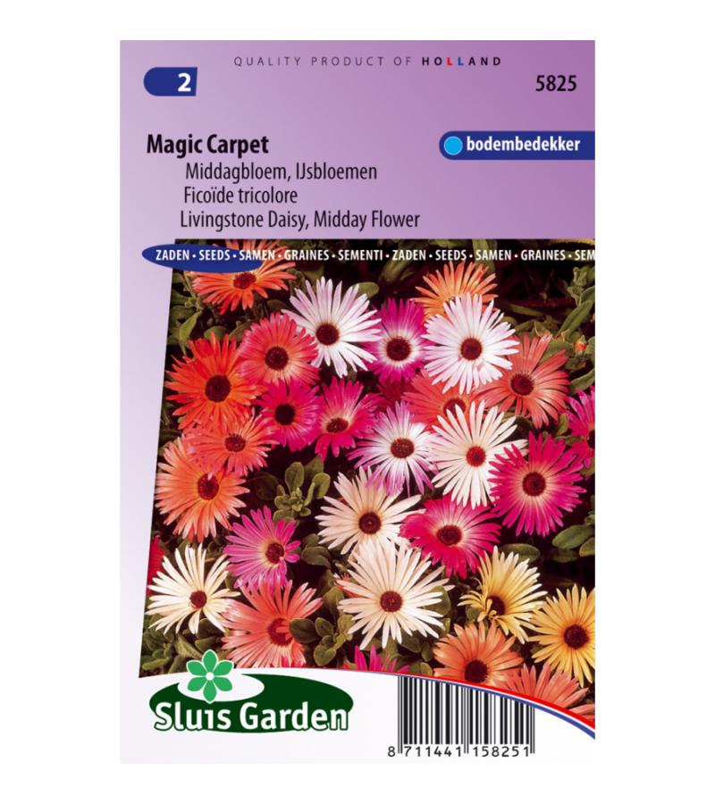 Ijsbloemen bloemzaden – Magic Carpet