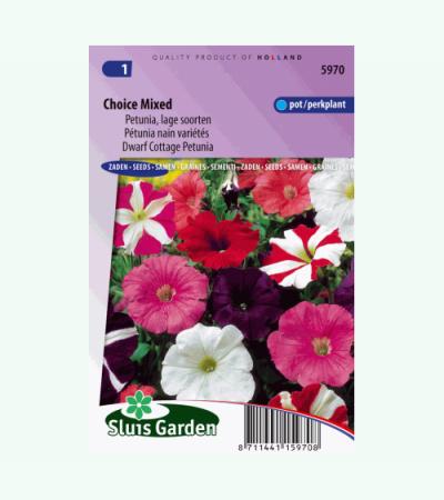 Lage petunia bloemzaden – Choice mixed