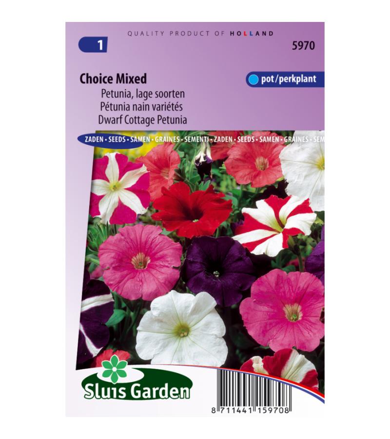 Lage petunia bloemzaden – Choice mixed