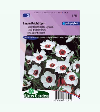 Lijnzaad bloemzaden – Linum bright eyes