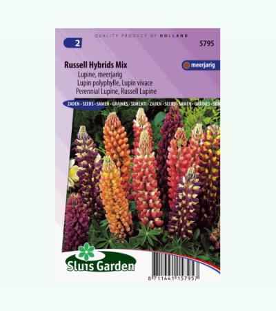 Lupine bloemzaden – Russell Hybrids Mix
