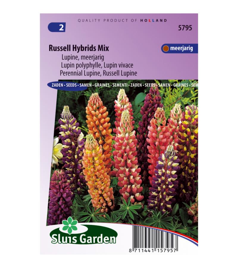 Lupine bloemzaden – Russell Hybrids Mix