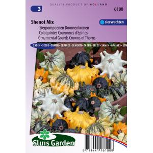Sierpompoenen Doornenkronen bloemzaden – Shenot Mix